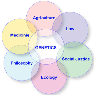 genetics, development of genetics, important branches of genetics, importance of genetics, 